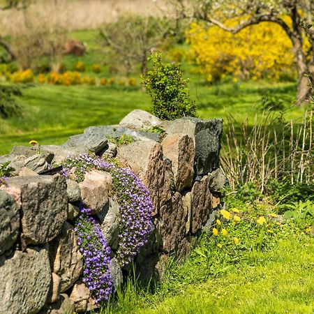 Solbjerggaard Bed & Breakfast Fåborg Eksteriør bilde
