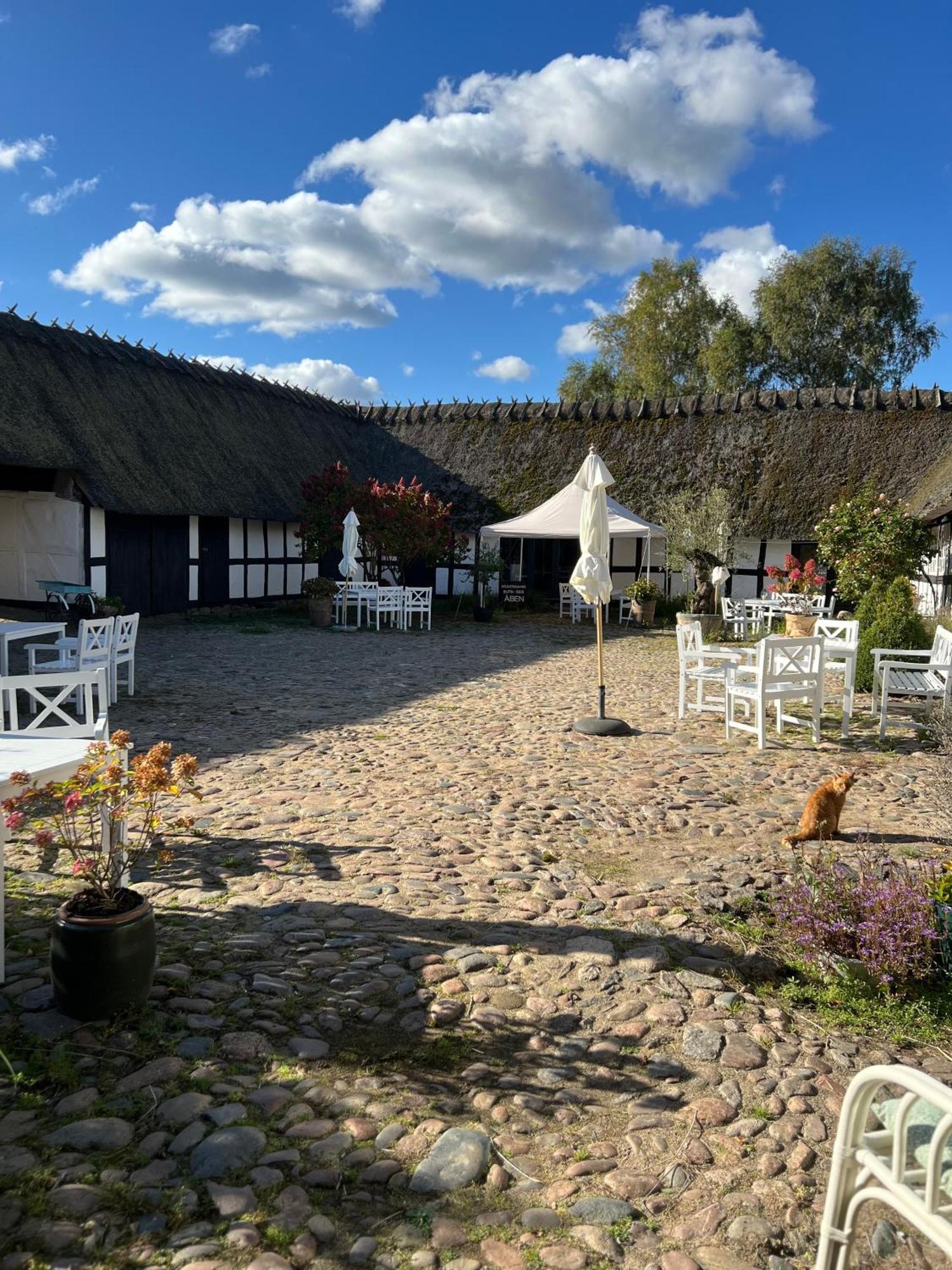 Solbjerggaard Bed & Breakfast Fåborg Eksteriør bilde
