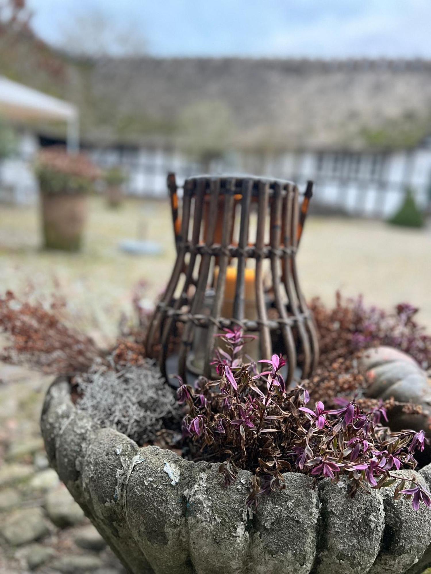 Solbjerggaard Bed & Breakfast Fåborg Eksteriør bilde