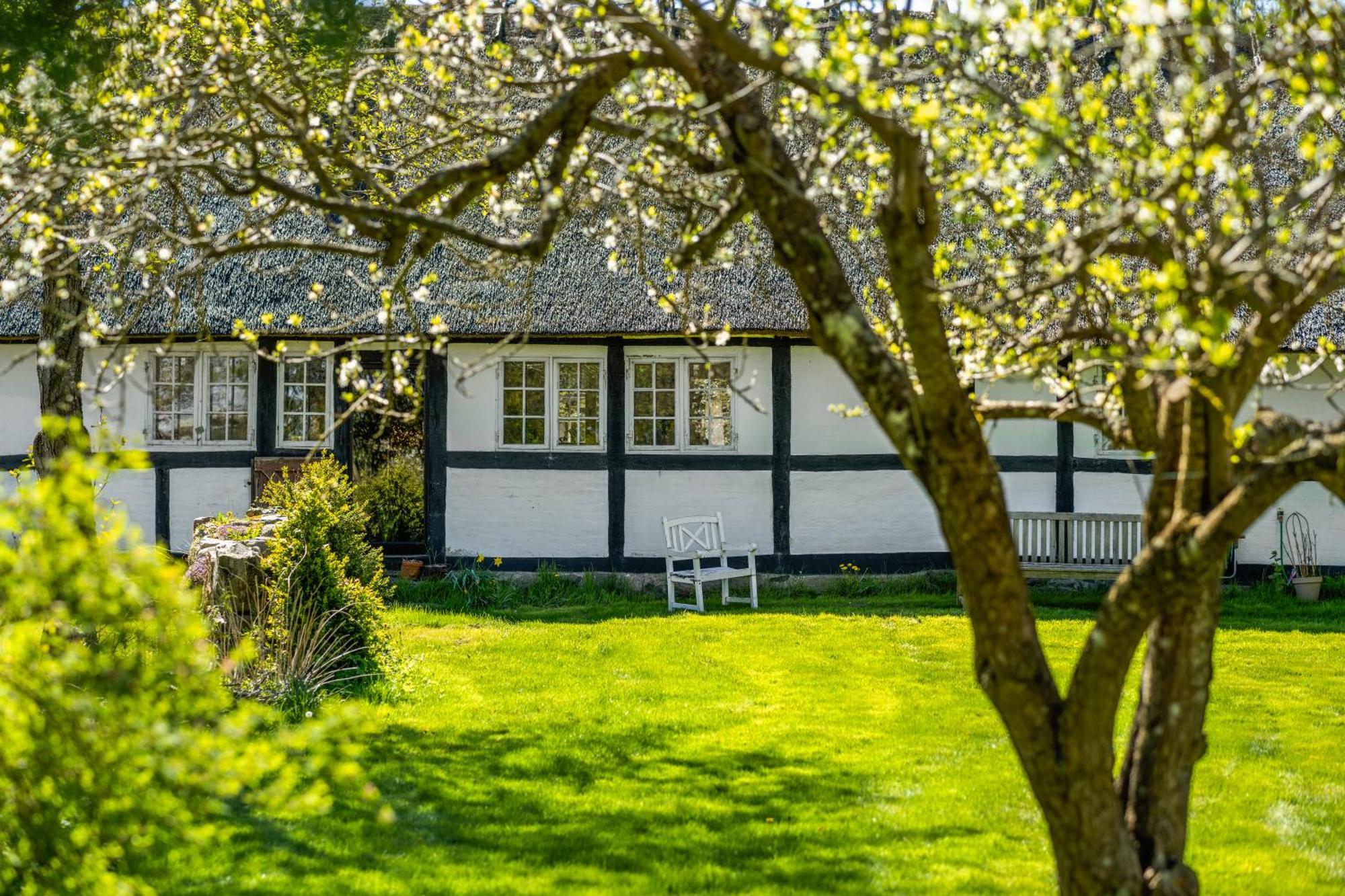 Solbjerggaard Bed & Breakfast Fåborg Eksteriør bilde