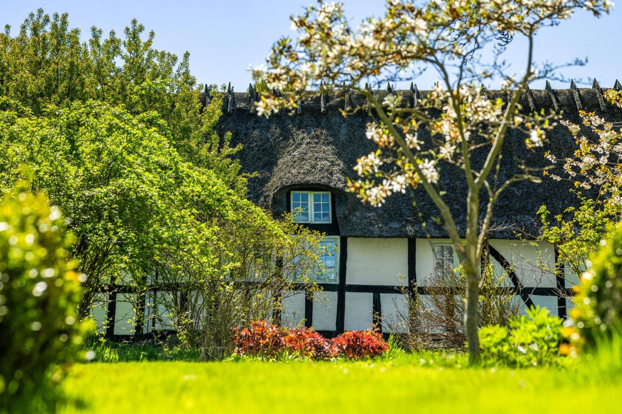 Solbjerggaard Bed & Breakfast Fåborg Eksteriør bilde